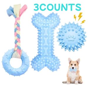 3-Pack Puppy Chew Toy Set – Teething & Training Toys